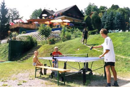 Hotel Pension Stadlhuber Aktivpark Kremsmünster Екстериор снимка